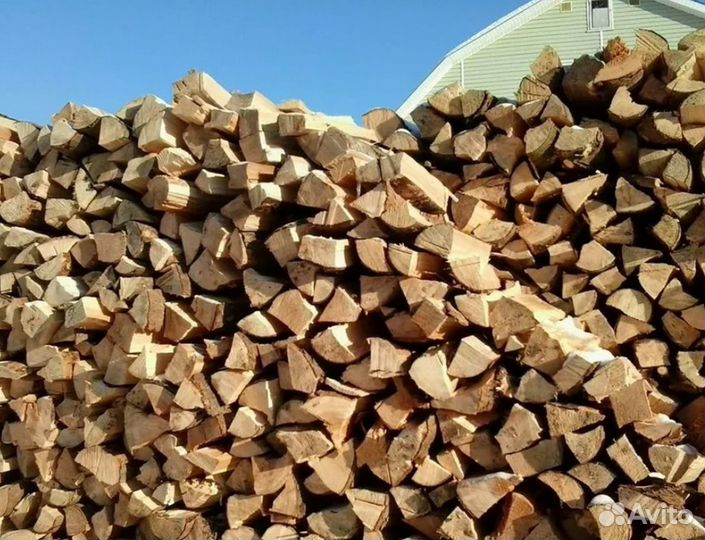 Дрова осина
