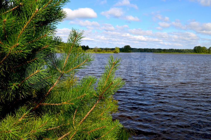 Участок 30 сот. (ИЖС)