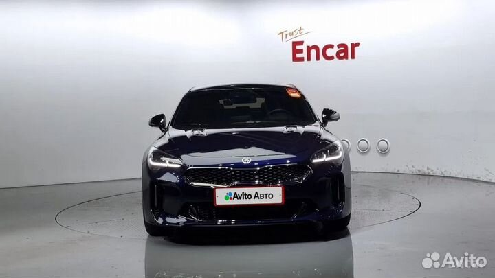 Kia Stinger 2.0 AT, 2019, 51 800 км