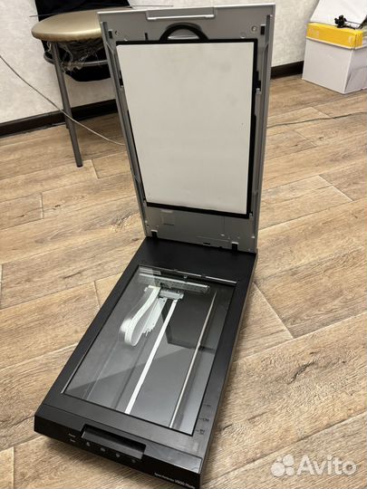 Сканер Epson V600