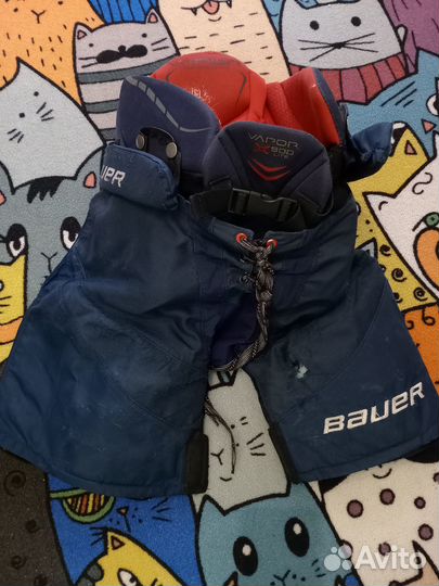 Хоккейные шорты bauer