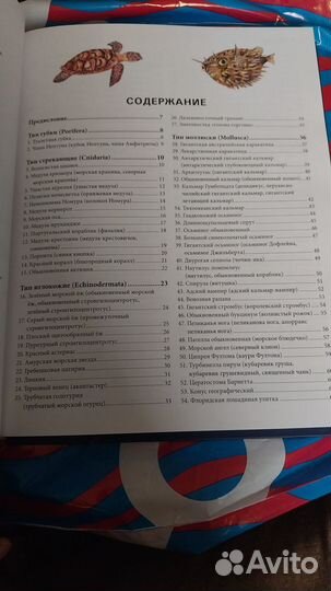 Куценко Подводный мир большая энциклопедия