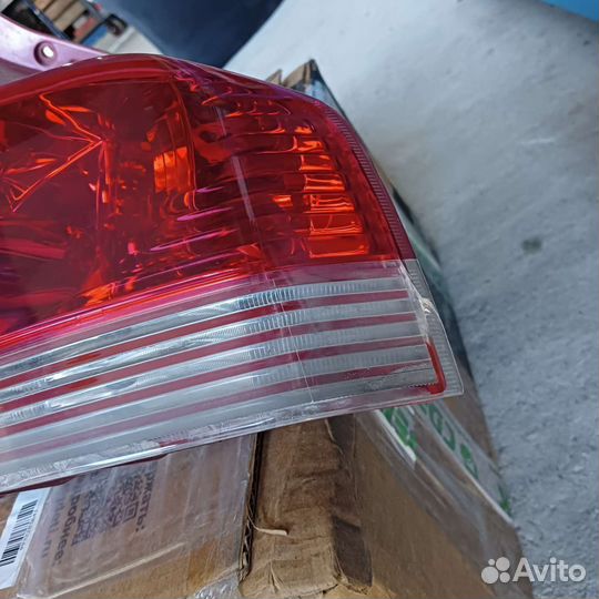 Фонари эволюшн