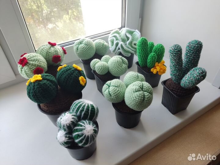 Кактусы и суккуленты вязаные