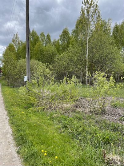 Участок 8 сот. (СНТ, ДНП)