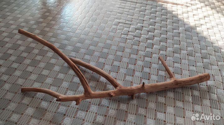 Аквариум, грот и коряга