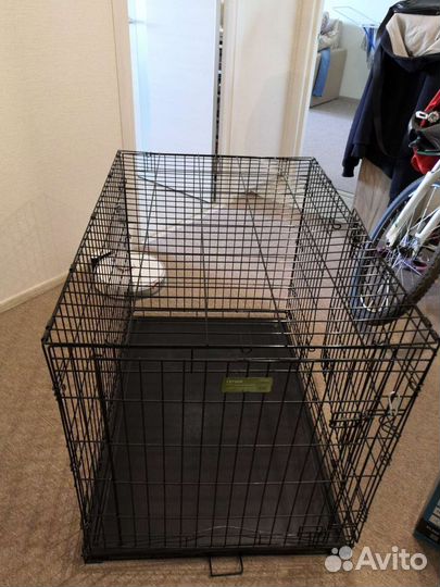 Аренда. Клетка (вольер) N 5, большой размер