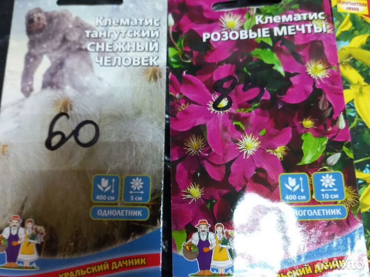 Семена клематиса