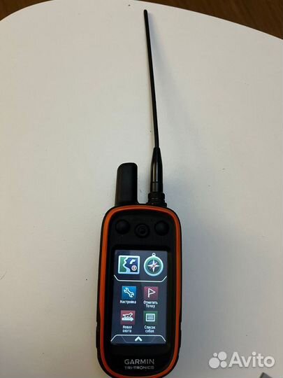 Garmin alpha 100