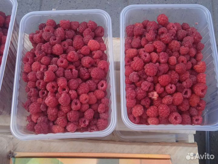 Малина свежая лесная с доставкой