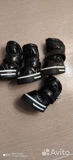 Обувь для маленькой собачки