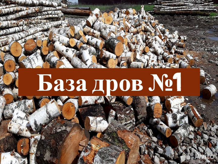 Дрова осина