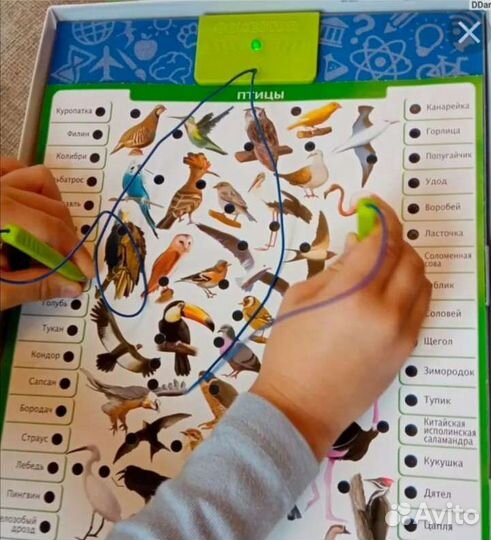 Электровикторина Educa Животный мир новая