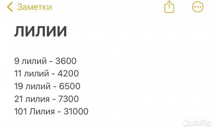 Лилии Голландские опт