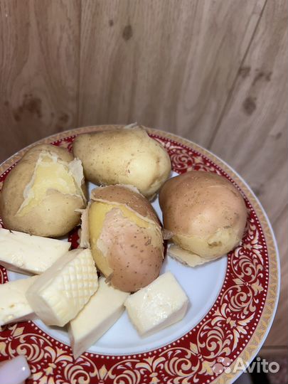 Продам картофель домашний