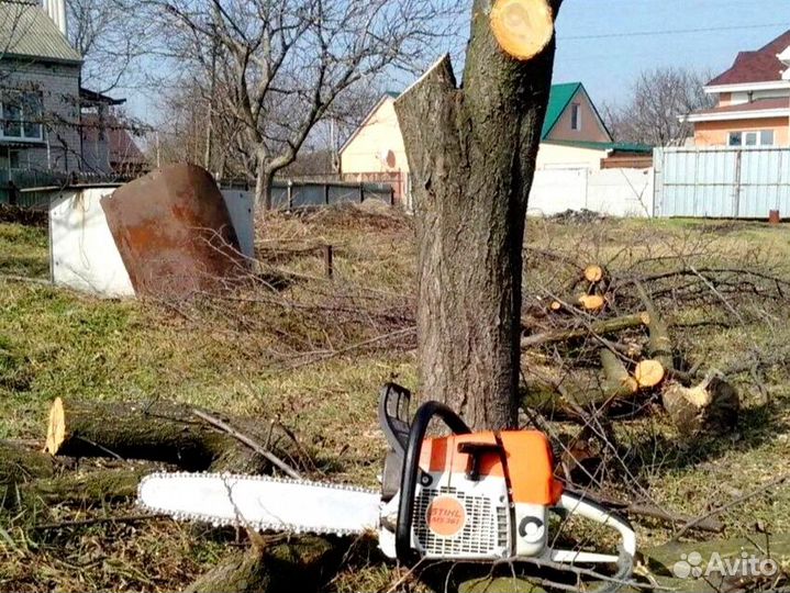 Вывоз мусора, спил деревьев, демонтаж