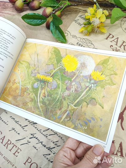 Книга Poems of the Seasons Gordon Beningfield