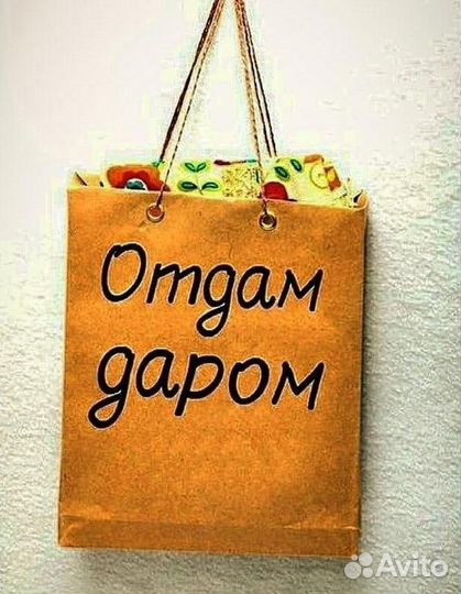 Вещи на девочку бесплатно