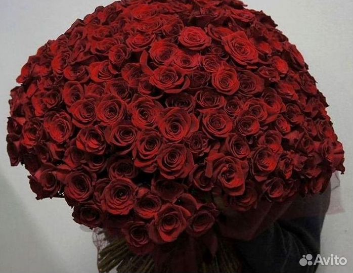 Высокие розы Доставка цветов