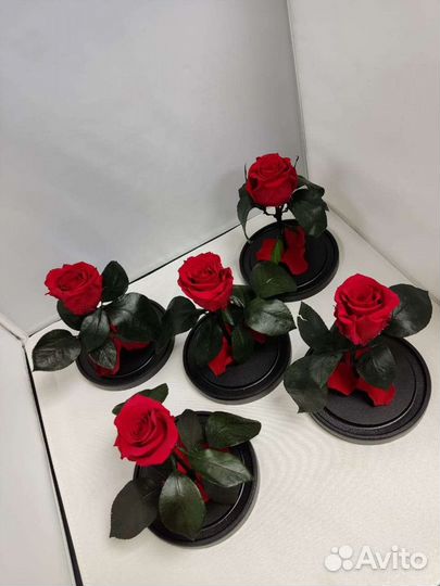 Роза в колбе оптом и в розницу