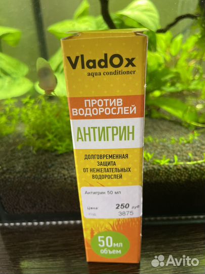 Средство против водорослей в аквариуме