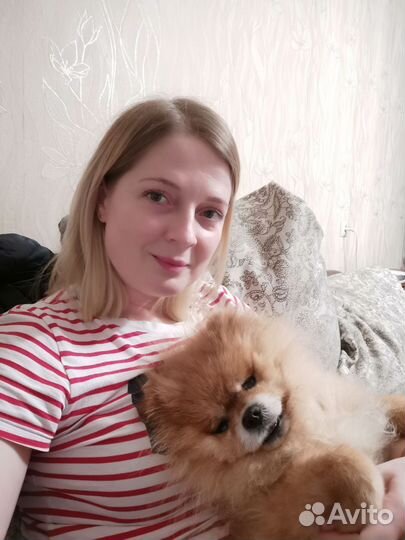 Зоогостиница для собак