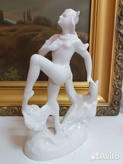 Балерина кошка, вербилки