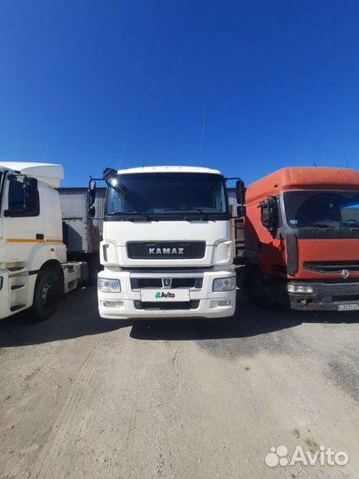 КамАЗ 65206-Т5, 2019