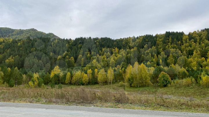 Участок 30 сот. (СНТ, ДНП)