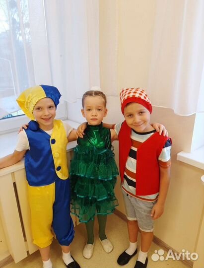 Костюм Петрушки