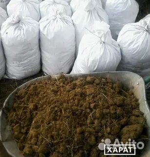 Навоз коровий