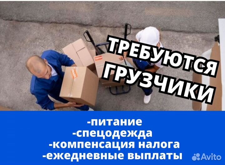 Работа Грузчик-Разнорабочий. Код:lk148