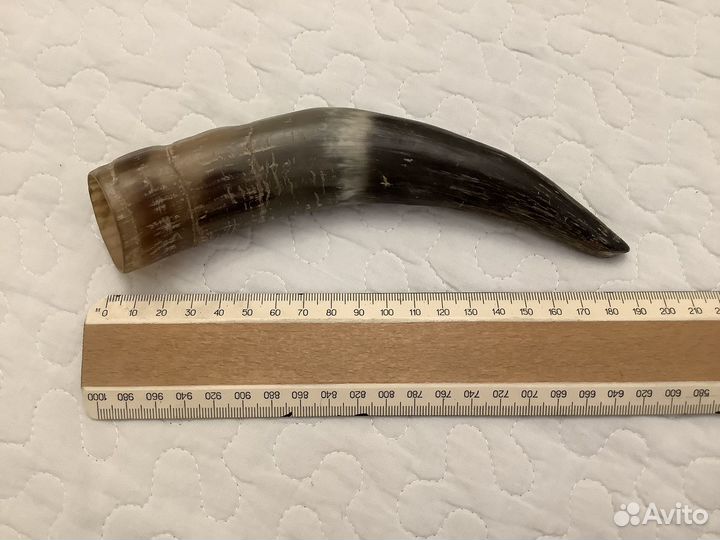 Рог коровий