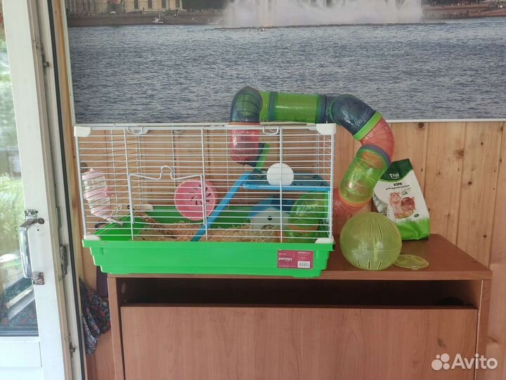 Хомяк с клеткой