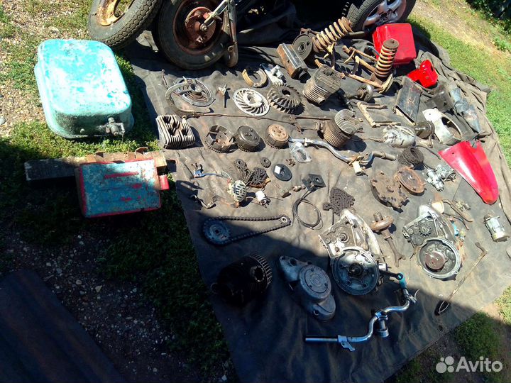 На мотороллер муравей