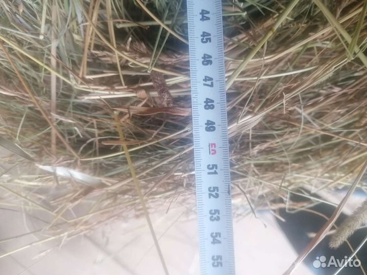 Сено в мини рулонах