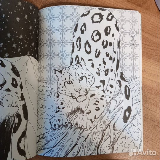 Раскраска-антистресс 