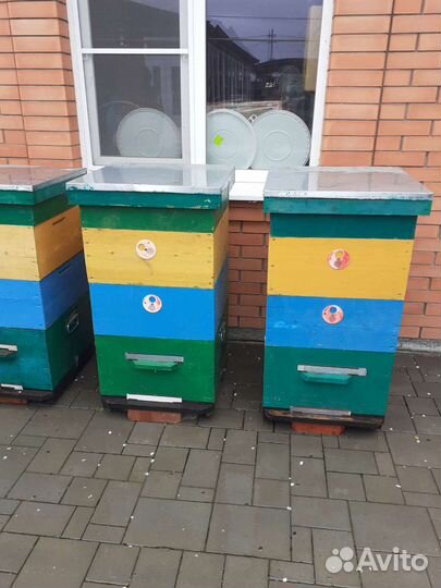 Улей для пчел