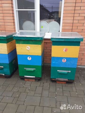 Улей для пчел