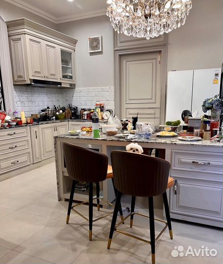 Мальтипу микро мальтезе микро ONE IN A million