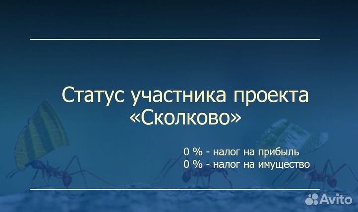 Получить статус 