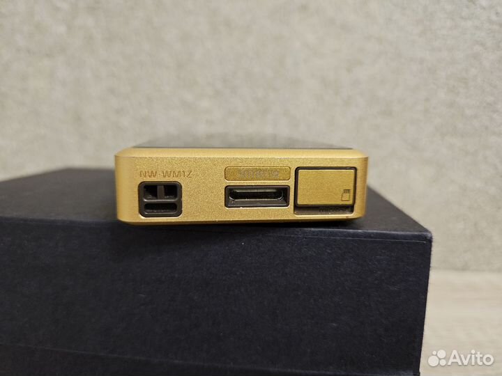 Sony wm1z