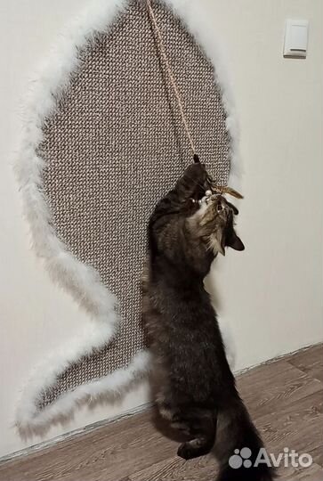 Когтеточка для кошек бу