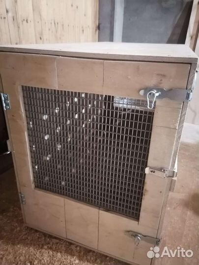 Бокс (клетка) для перевозки животных