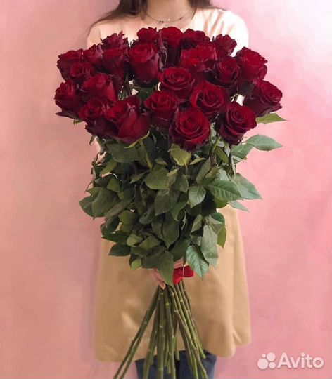 Розы метровые