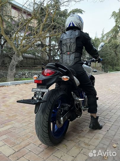 Suzuki svf400 Gladius
