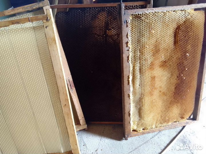 Сушь для пчел