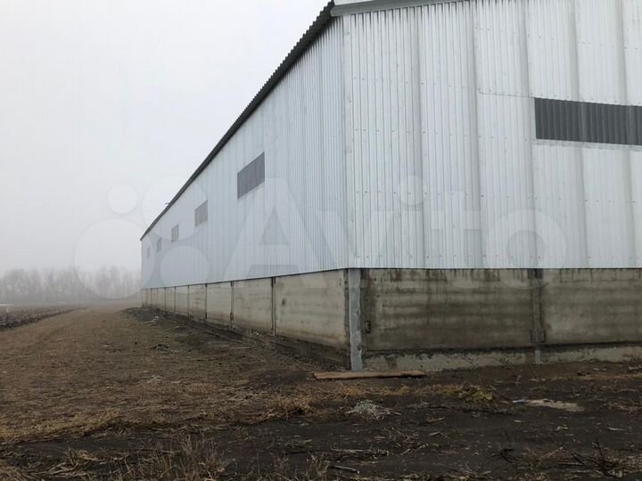 Склад, 1000 м²
