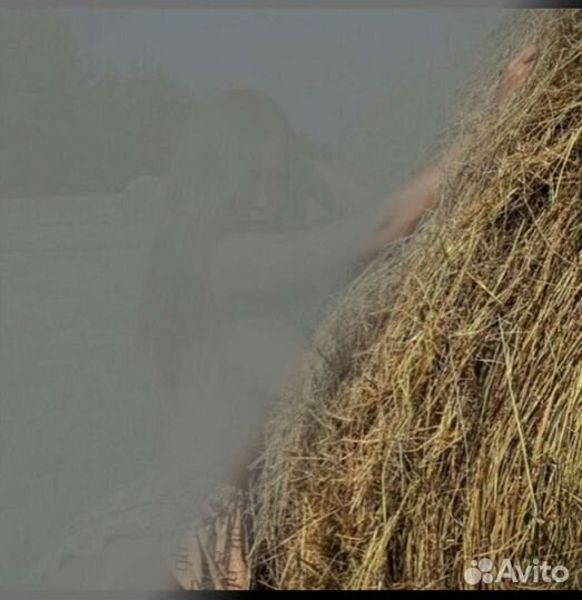 Сено в рулонах урожай 2023г