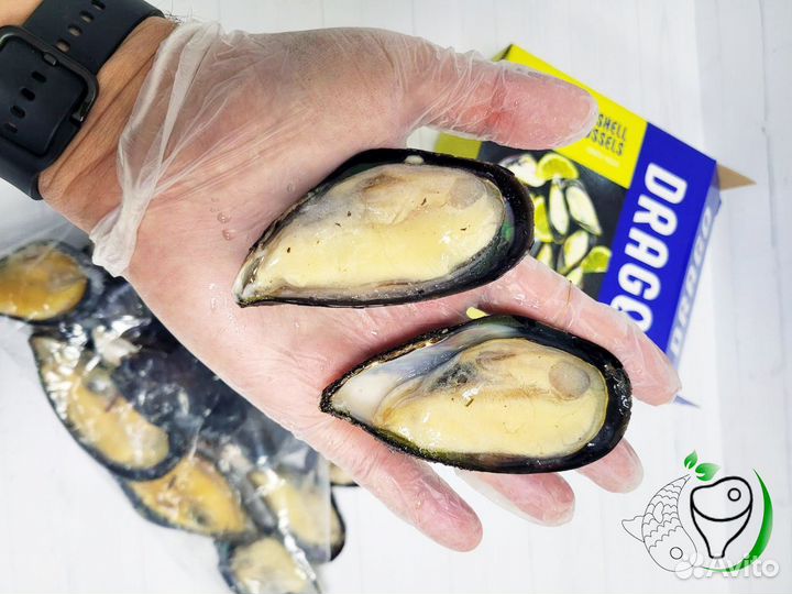 Мидии Киви на полустворке